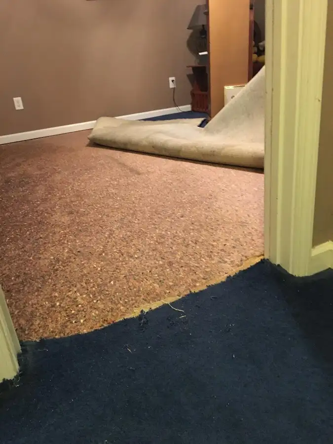 Carpet pad removal revealing water damage during Water Mitigation Services in Holly