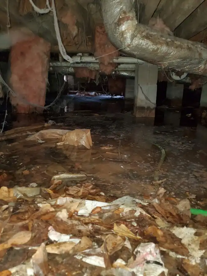 Crawl space flood assessment for Leak Detection & Repair in Holly