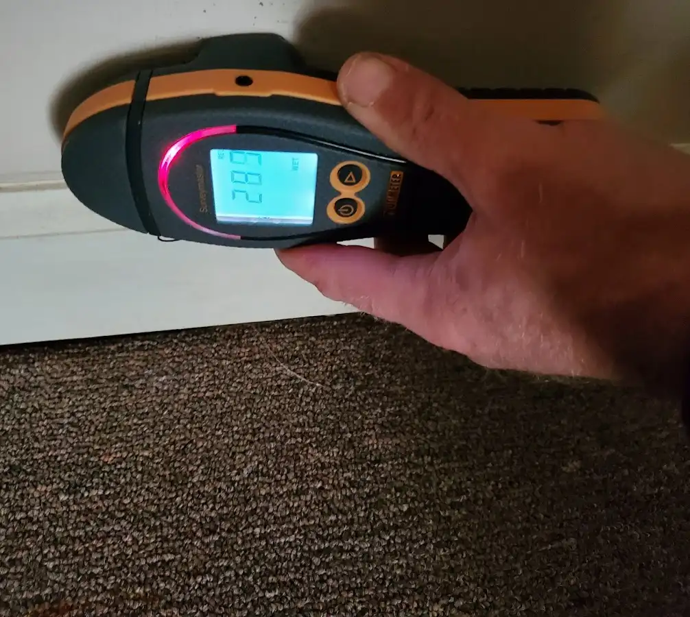 Moisture detection at baseboard during Sewage Cleanup & Sanitation in Holly