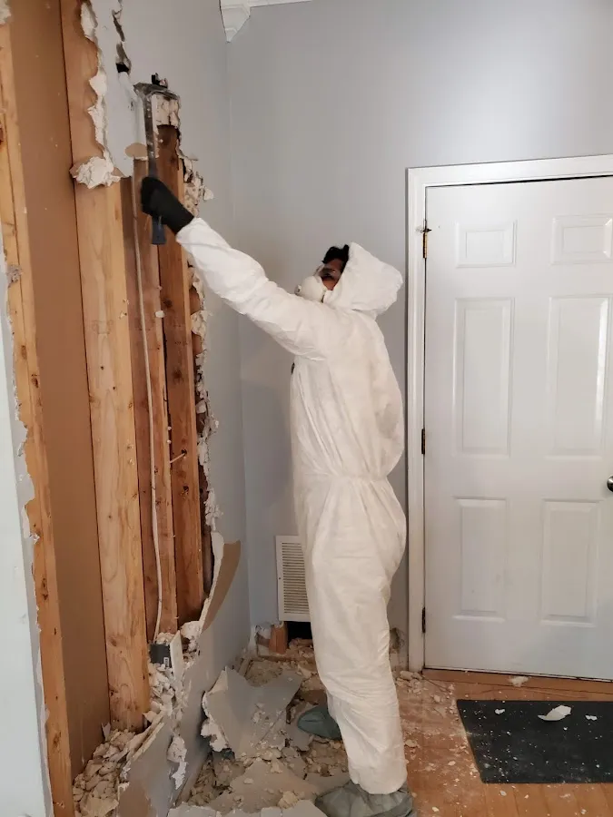 Mold Remediation & Removal in Holly, MI